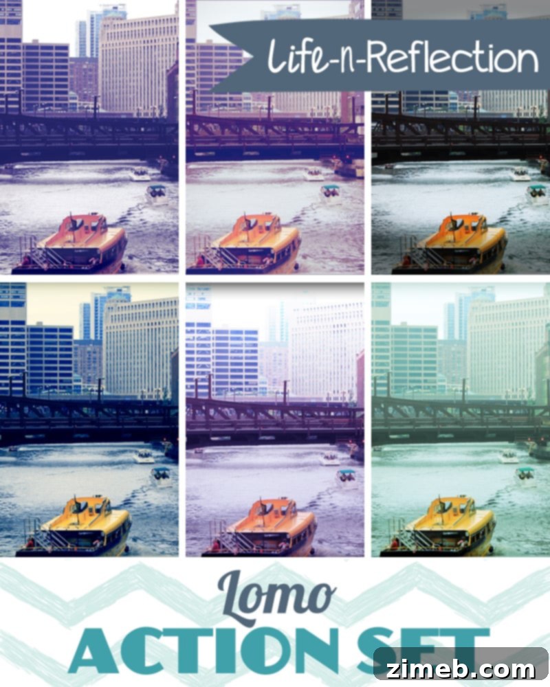 Lomo Action Set from Life n' Reflection
