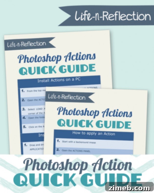 lnr_action-quick-guide_pre-630x787
