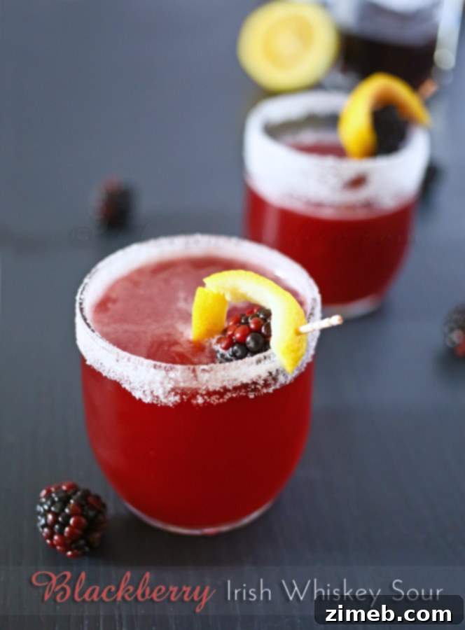 Bramble's Irish Kiss 3 Blackberry Irish Whiskey Sour