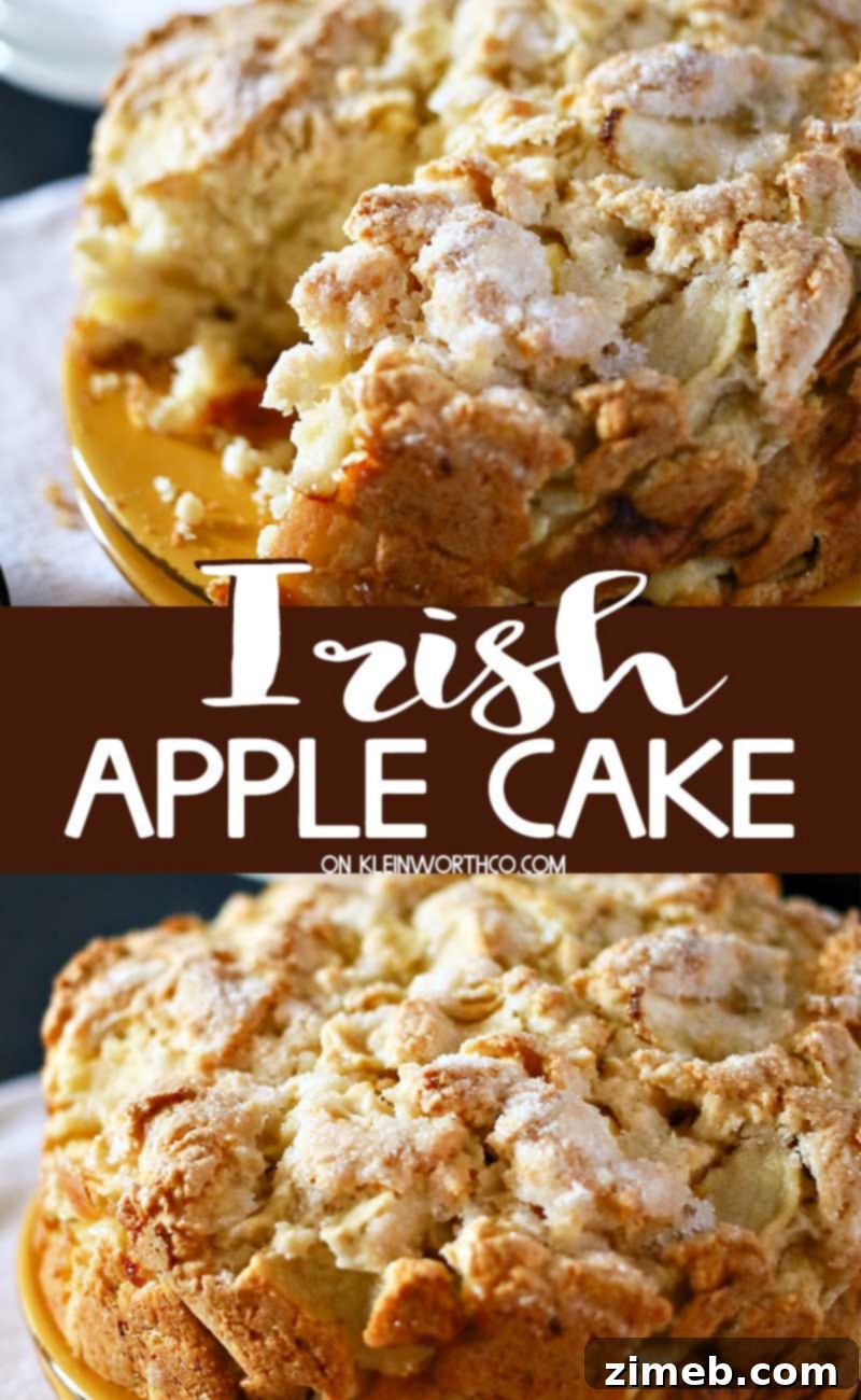 Traditional Irish Apple Cake 2 Irish Apple Cake