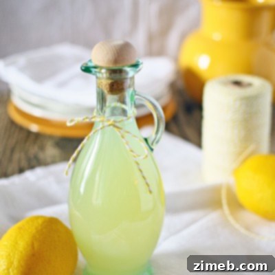 Zesty Lemon Elixir 2 Simple Lemon Syrup