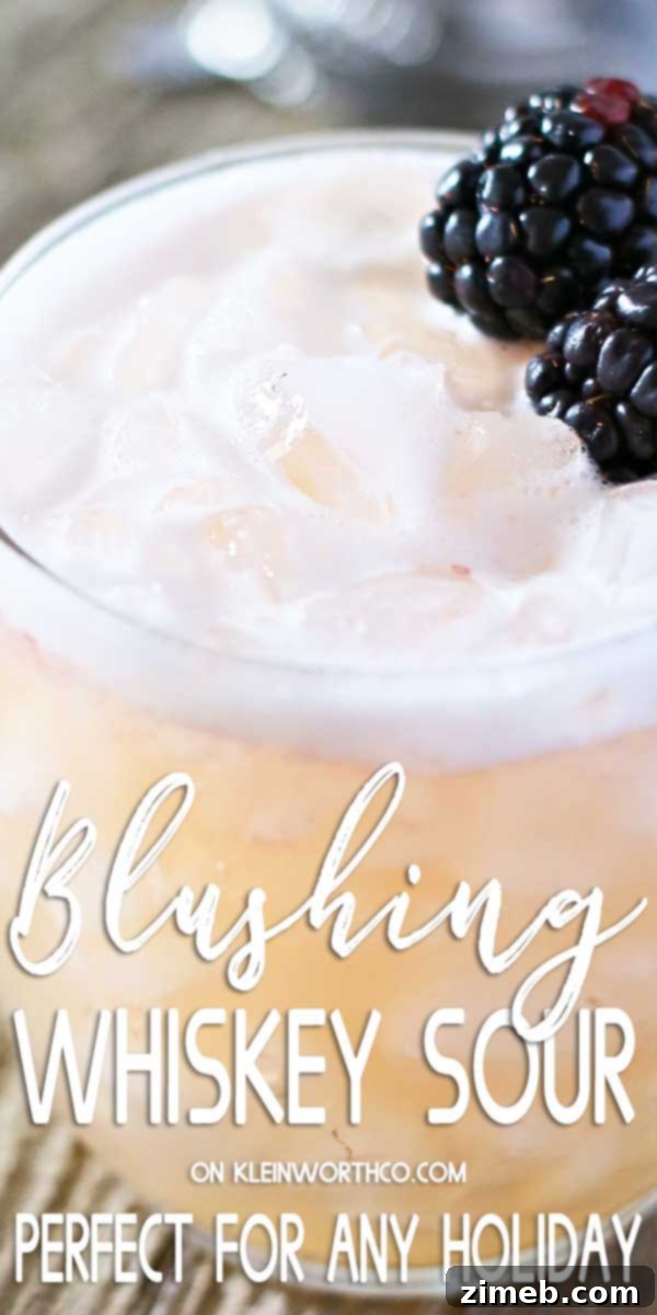Ruby Whisper Sour 2 Easy Whiskey Sour with blackberries and lemon