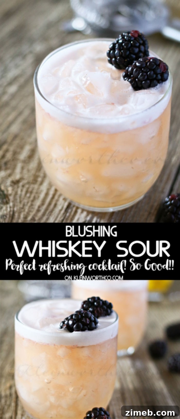 Ruby Whisper Sour 5 Blushing Whiskey Sour with blackberries and a lemon slice