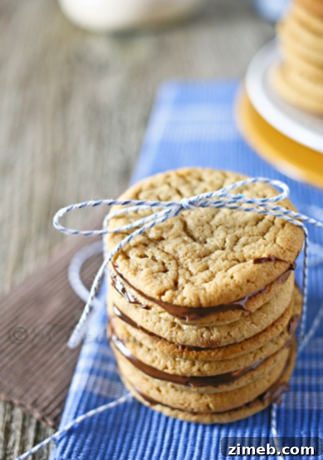 Nutella Swirl Peanut Butter Cookies 2 Close-up of a perfectly baked Peanut Butter Nutella Cookie