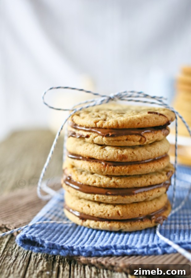 Nutella Swirl Peanut Butter Cookies 3 Individual soft peanut butter cookies ready for filling