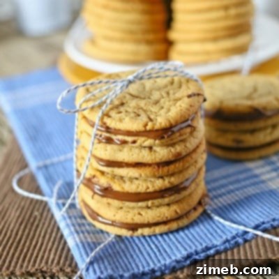 Peanut Butter Nutella Cookies with creamy filling