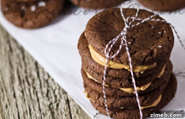 Nutella Swirl Peanut Butter Cookies 6 Peanut Butter Nutella Salted Sandwich Cookies - a sweet and savory twist