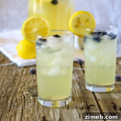 Zesty Blueberry Lemon Green Tea 4 Blueberry Lemon Green Tea Recipe