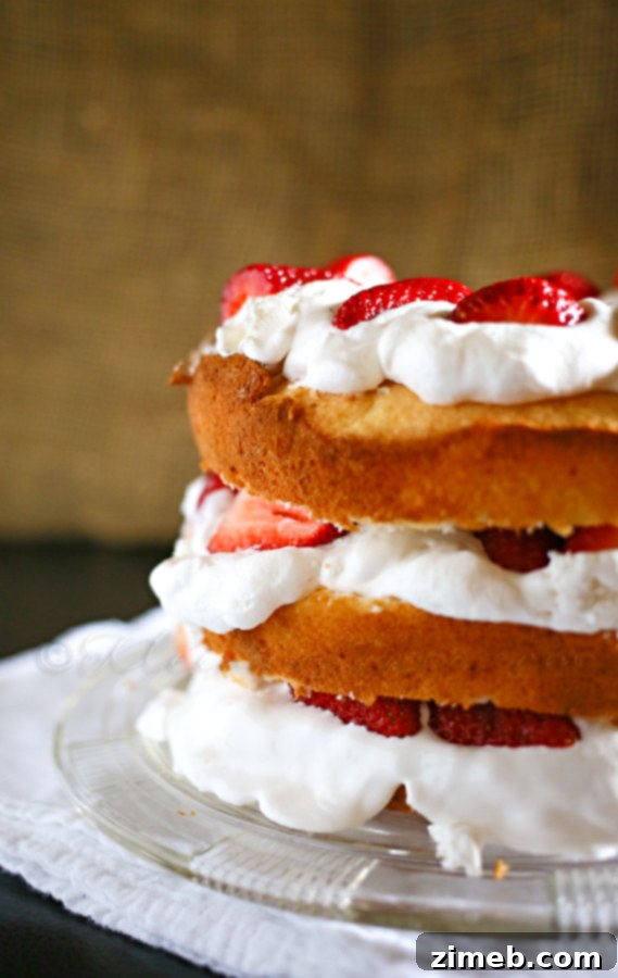 Strawberry Cloud Shortcake 2 Layered Strawberry Shortcake with fresh berries and whipped cream