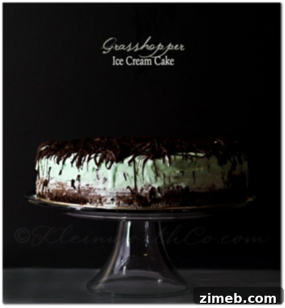 Strawberry Cloud Shortcake 5 Grasshopper Ice Cream Cake