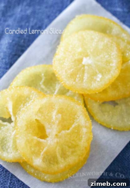 Sunny Lemon Poppy Seed Mini Loaves 11 Beautiful Candied Lemon Slices