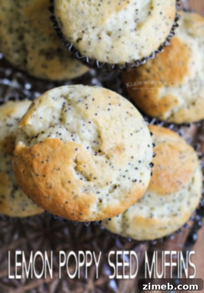 Sunny Lemon Poppy Seed Mini Loaves 8 Lemon Poppy Seed Muffins