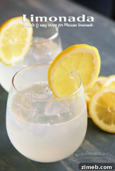Sunny Lemon Poppy Seed Mini Loaves 10 Limonada Mexican Lemonade