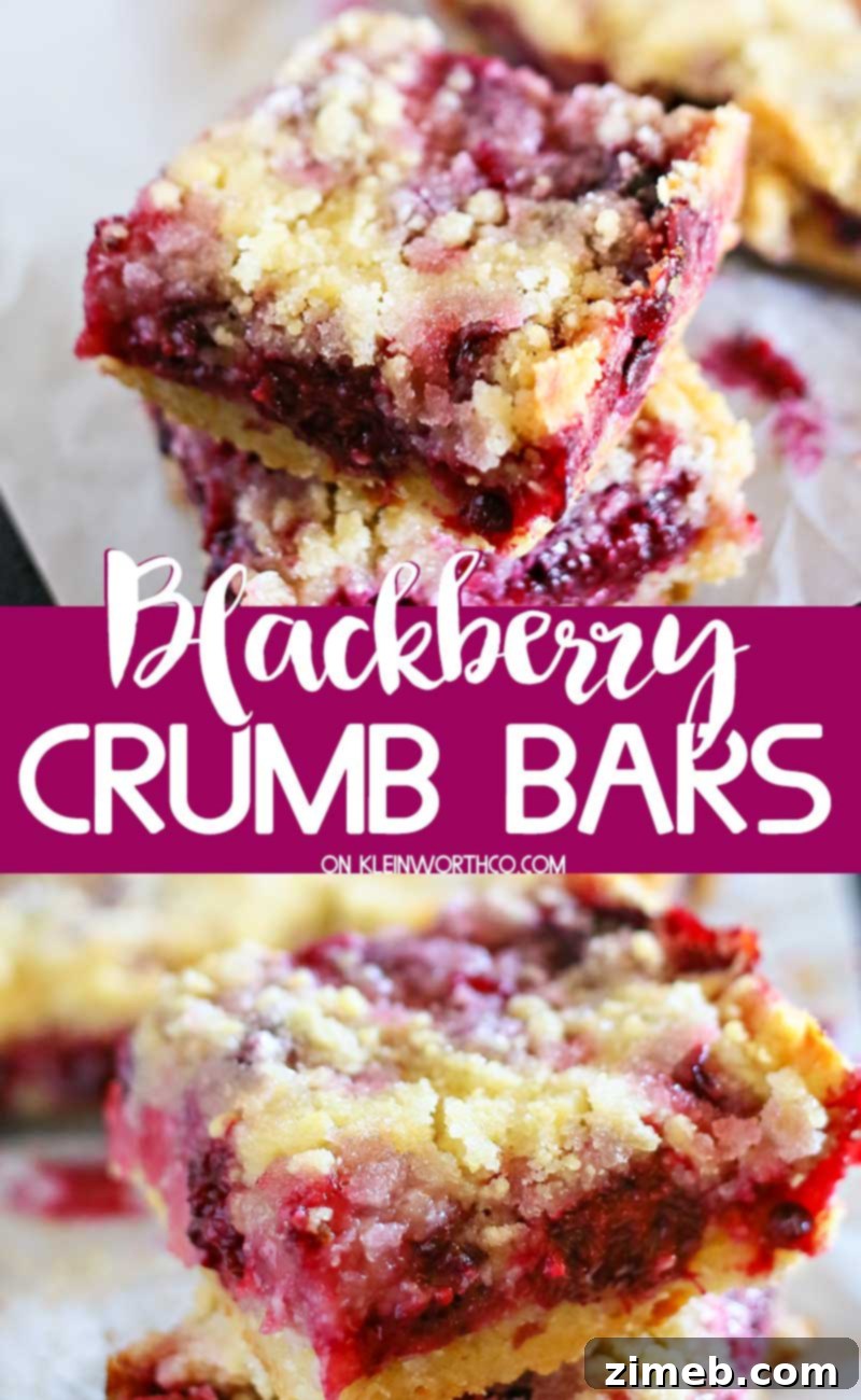 Blackberry Crumb Bars
