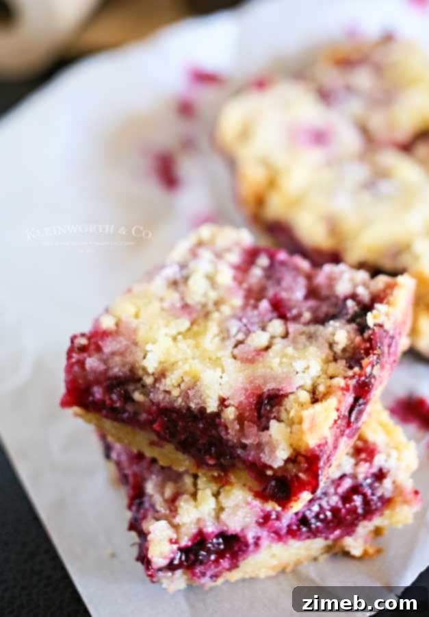Blackberry Crumb Bars recipe