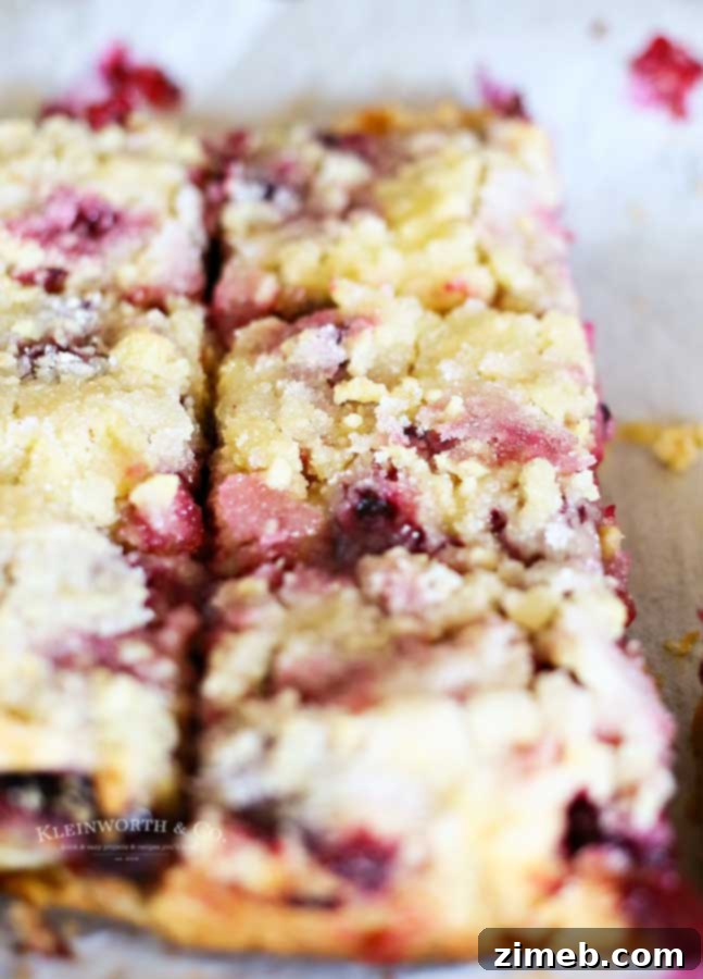 summer treat recipe - Blackberry Crumb Bars