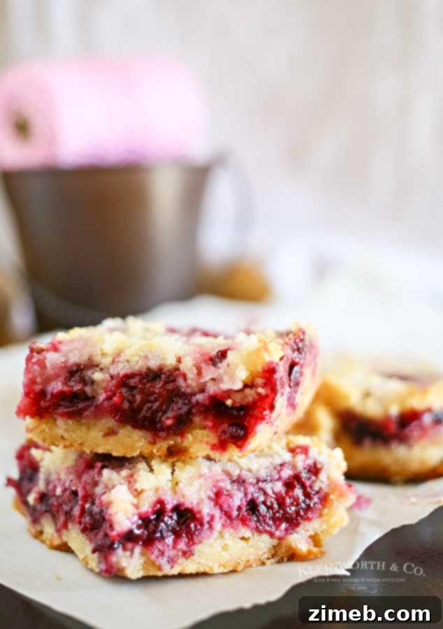 easy dessert recipe - Blackberry Crumb Bars