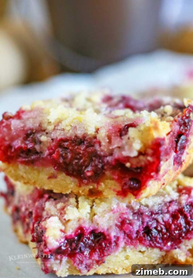 Blackberry Crumb Bars dessert