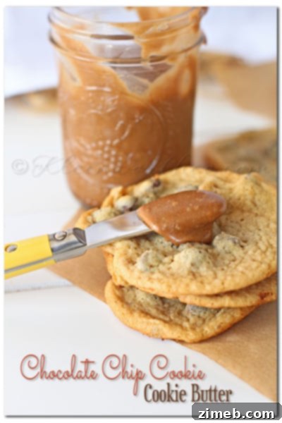 Tropical Toasted Coconut Hot Fudge 6 Chocolate Chip Cookie Butter