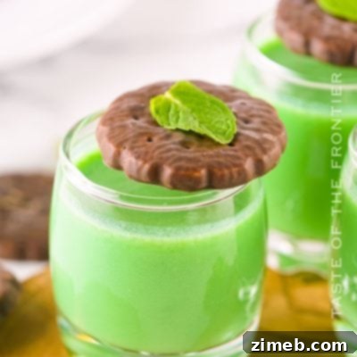 Zingy Raspberry Tom Collins 6 Dirty Girl Scout Shots