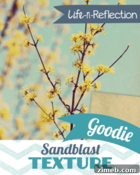 Free Sandblast Texture Preview for Photoshop