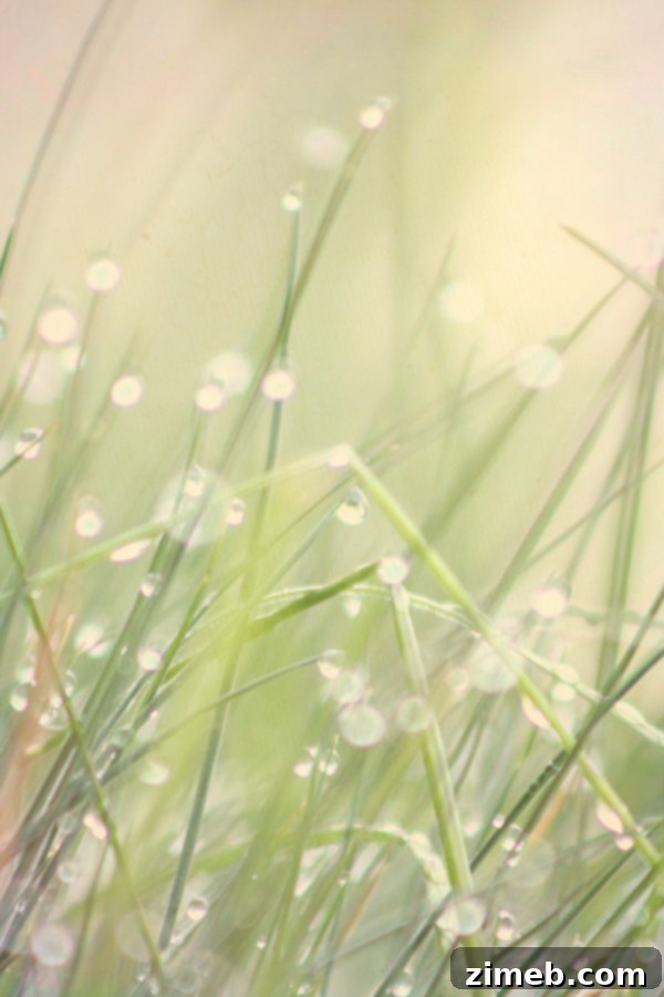 Third Illusions Texture with Normal Blending Mode at Low Opacity