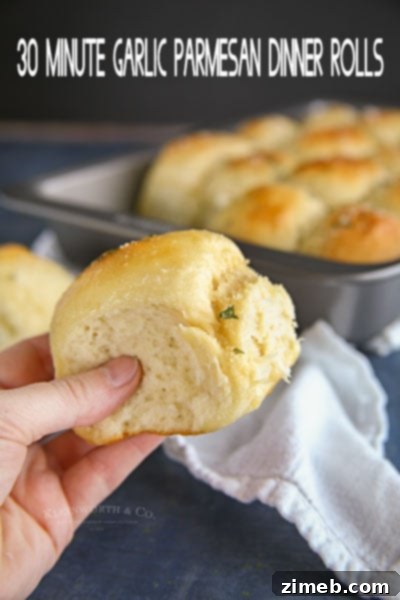 Rich Italian Garlic Butter 3 Plate of 30-Minute Garlic Parmesan Dinner Rolls, golden brown and garnished with herbs.