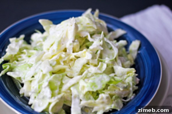 Refreshing Garlic Cabbage Slaw