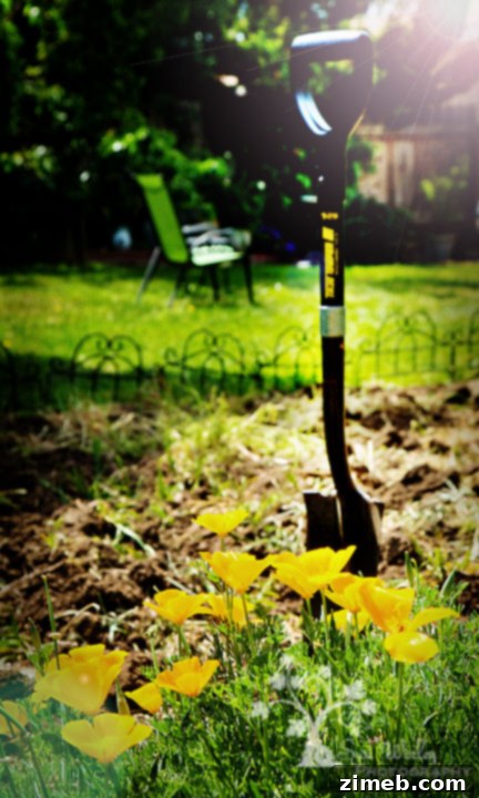 Growing Your Own Potatoes 5 Planting Potatoes