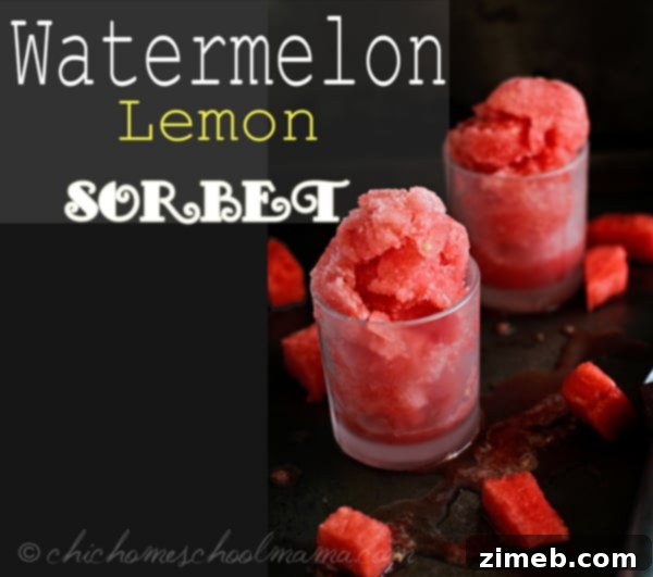 Watermelon Lemon Sorbet