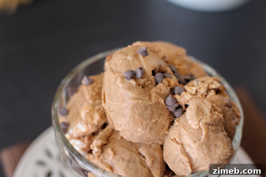 Mocha Java Ice Cream 2 Rich and creamy Mocha Java Ice Cream from Kleinworth & Co., perfect for coffee and chocolate lovers