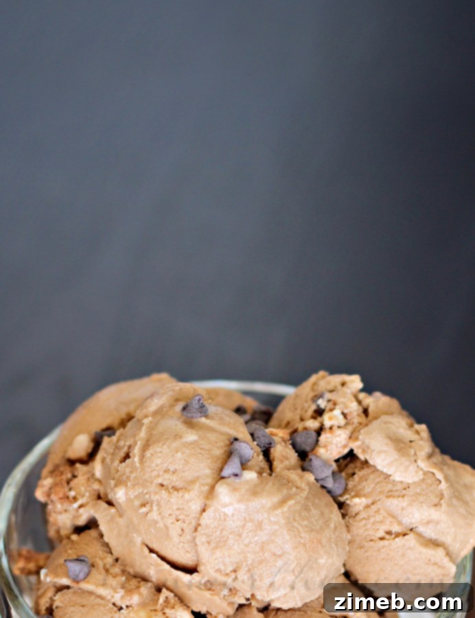 Mocha Java Ice Cream 3 Scoops of homemade Mocha Java Ice Cream, showing its smooth texture
