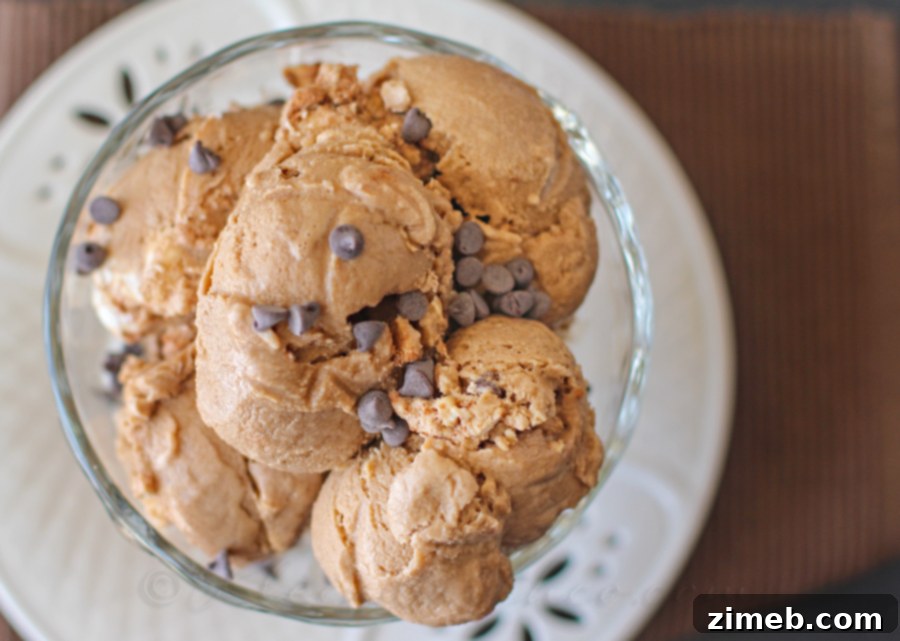 Mocha Java Ice Cream 4 Close-up of Mocha Java Ice Cream with visible mini chocolate chips