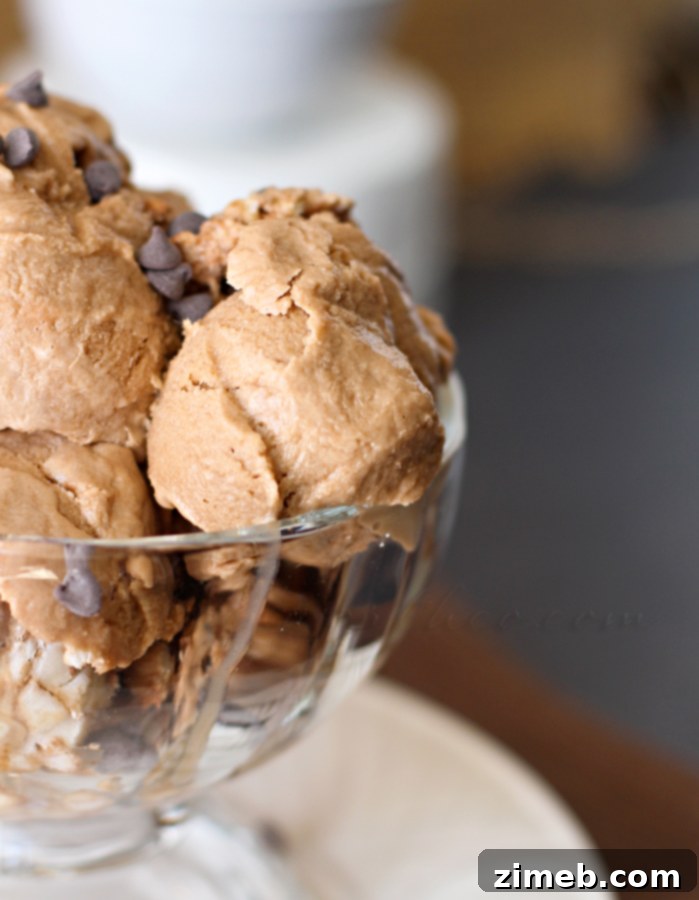 Mocha Java Ice Cream 5 A serving of Mocha Java Ice Cream in a bowl, ready to be enjoyed