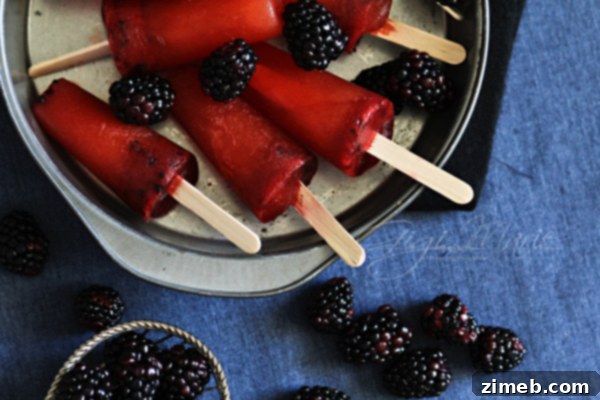Mocha Java Ice Cream 8 Refreshing Blackberry Pops, a perfect fruity summer treat