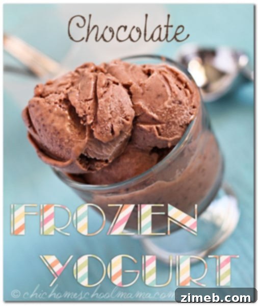 Mocha Java Ice Cream 9 Decadent homemade Chocolate Frozen Yogurt, a healthier chocolate treat