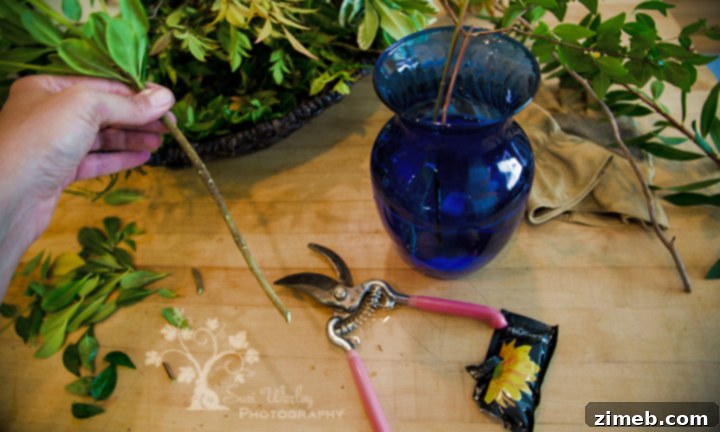Shaping the Rose 7 Cutting Roses for Floral Arrangements with Long Stems