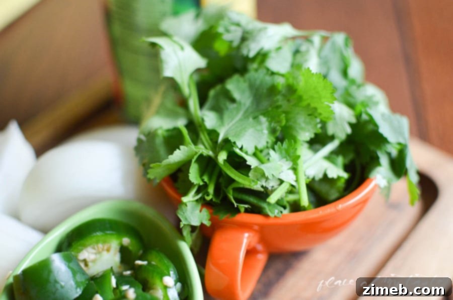 Fresh Salsa Dip with Tortilla Chips