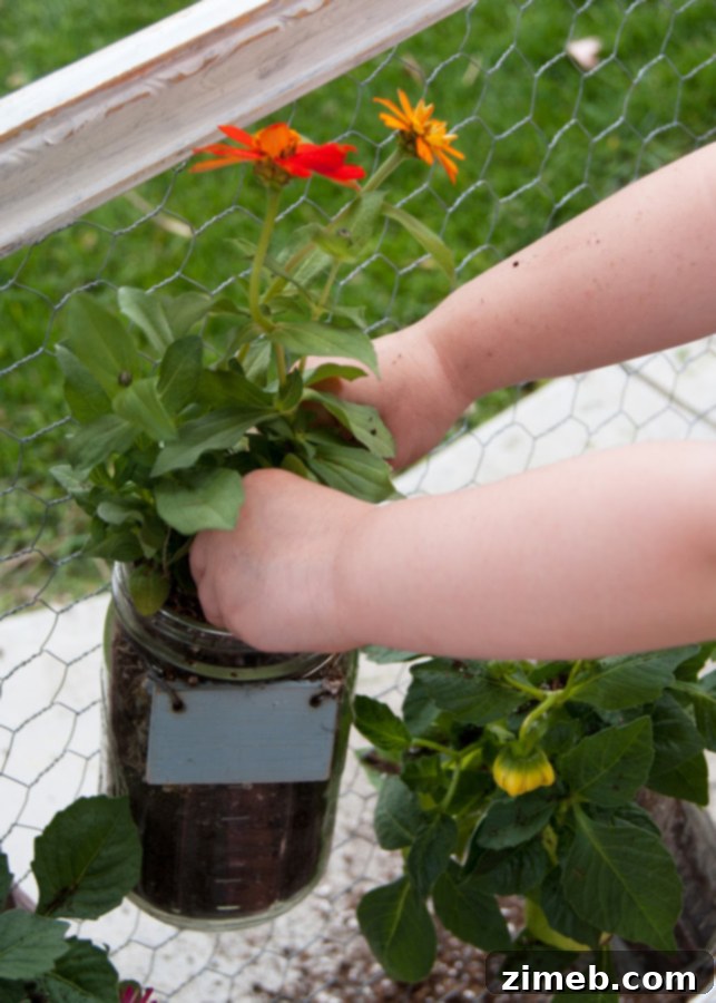 Mason Jar Wall Garden filled with thriving plants, ready for display