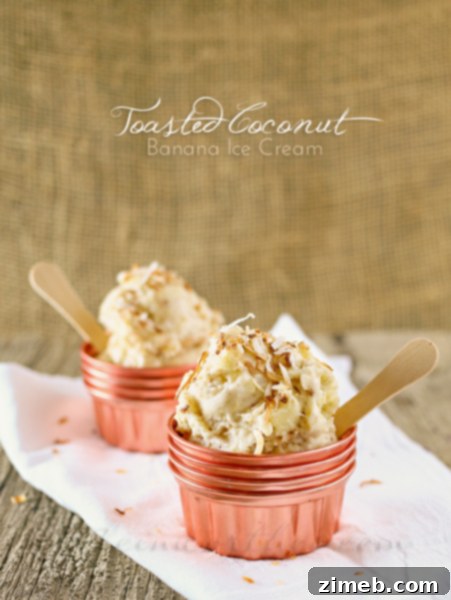 Banana Root Beer Float 7 Toasted Coconut Banana Ice Cream - Healthy Dessert