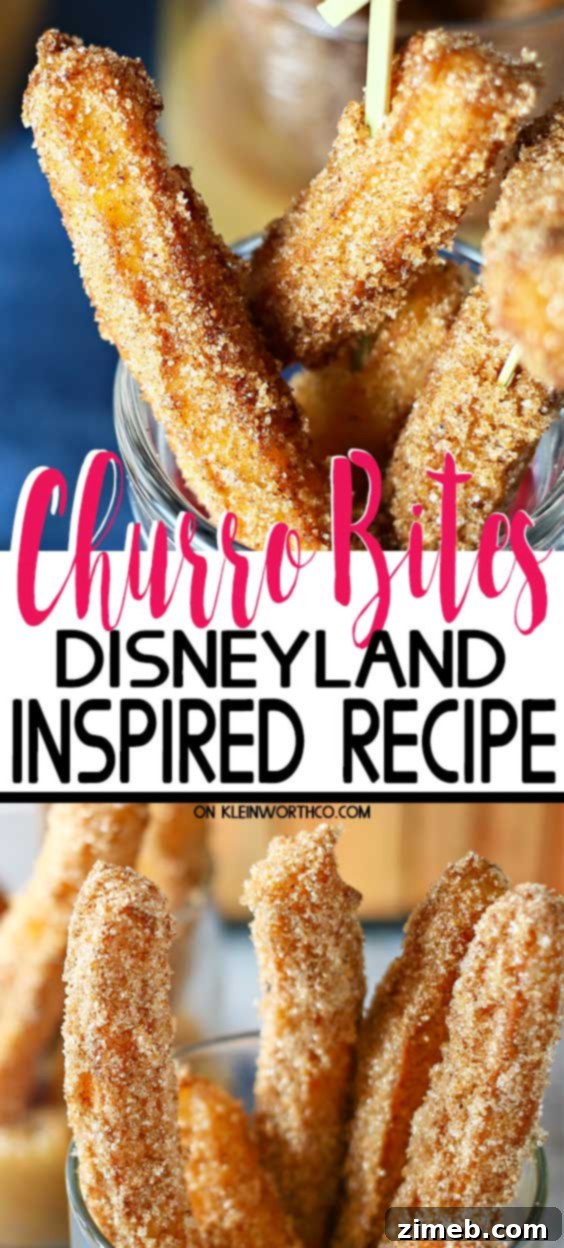 Recreate Disney's Famous Churro Bites at Home 2 Churro Bites ~ Disneyland Inspired Recipe