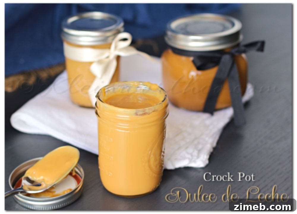 Recreate Disney's Famous Churro Bites at Home 11 Crock Pot Dulce de Leche