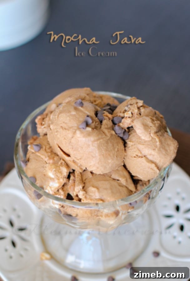 Indulgent Mocha Java Ice Cream, a rich coffee-flavored frozen dessert.