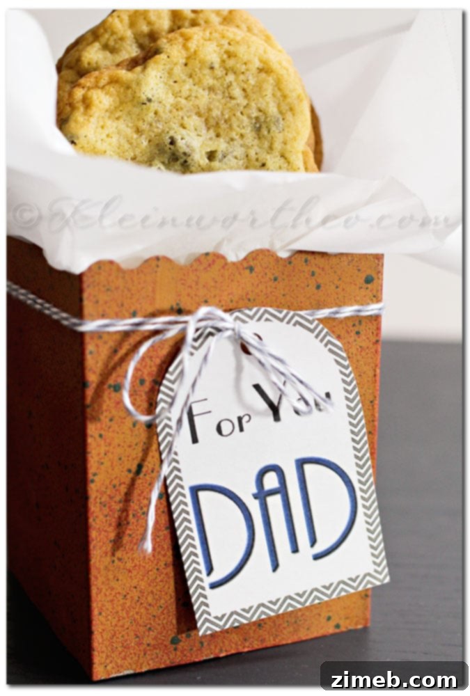 Craft Your Own Father's Day Card 2 Homemade Father's Day Gift and Free Printable Tags