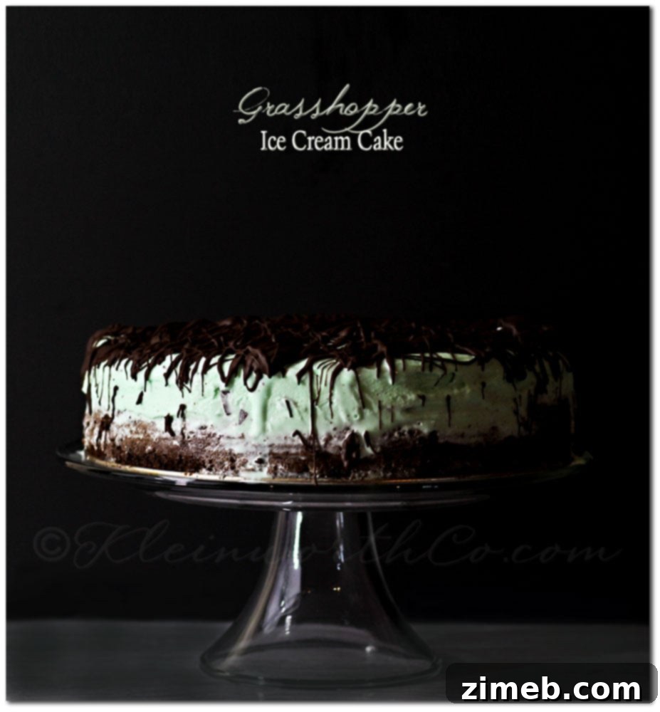 Golden Banana Cloud Fudge Parfait 8 Grasshopper Ice Cream Cake with mint ice cream and chocolate
