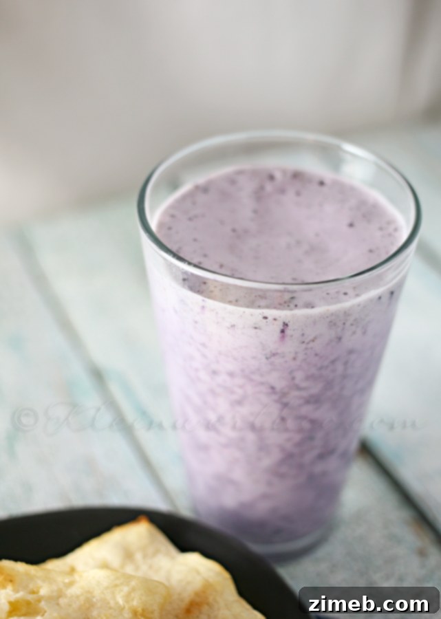 Easy Blueberry Smoothie 2 Simple Blueberry Smoothie from www.kleinworthco.com