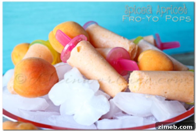 Delicious Spiced Apricot Fro Yo Pops - A healthy and refreshing snack