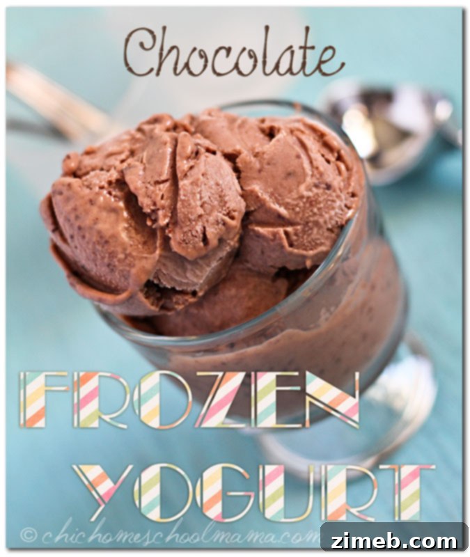 Rich Chocolate Frozen Yogurt, a decadent treat that pairs wonderfully with the tangy sweetness of Triple Berry Sauce.