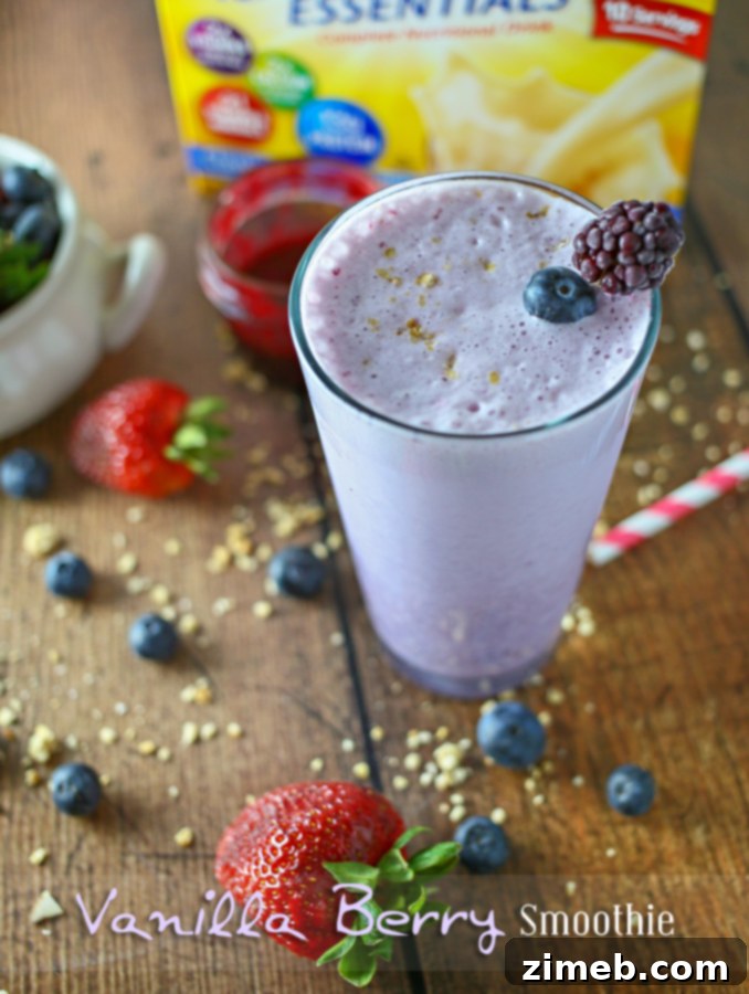 Velvet Berry Dream 6 Vanilla Berry Smoothie - Simple Ingredients