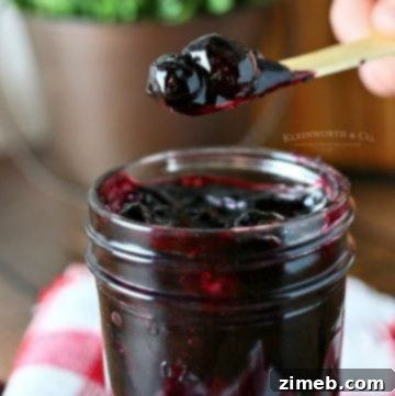 Homemade Blueberry Pie Filling 12 Delicious Homemade Blueberry Pie Filling